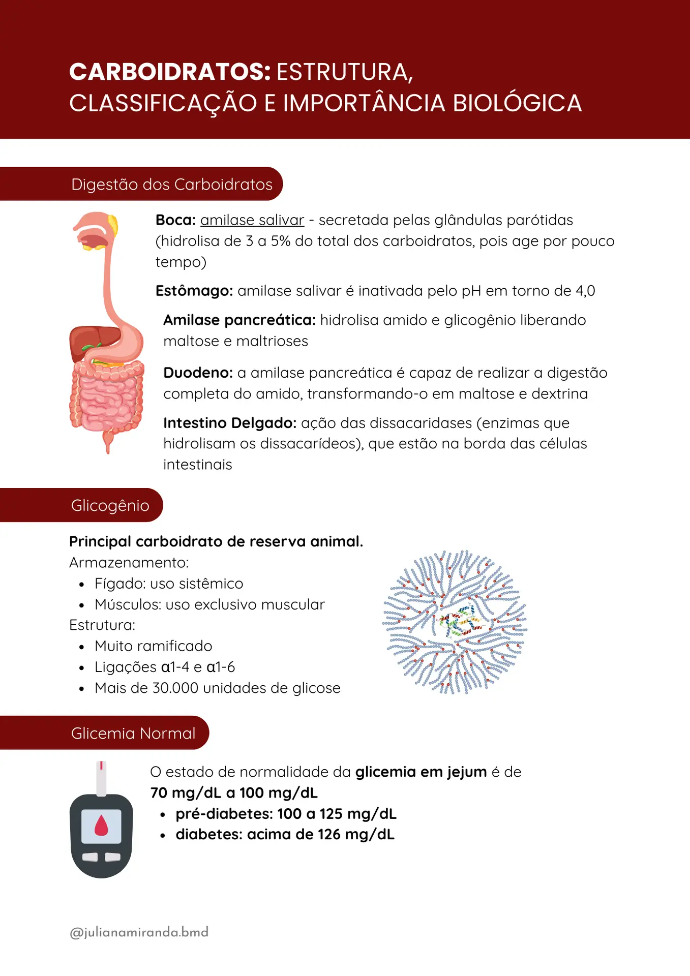 Resumos de Bioquímica