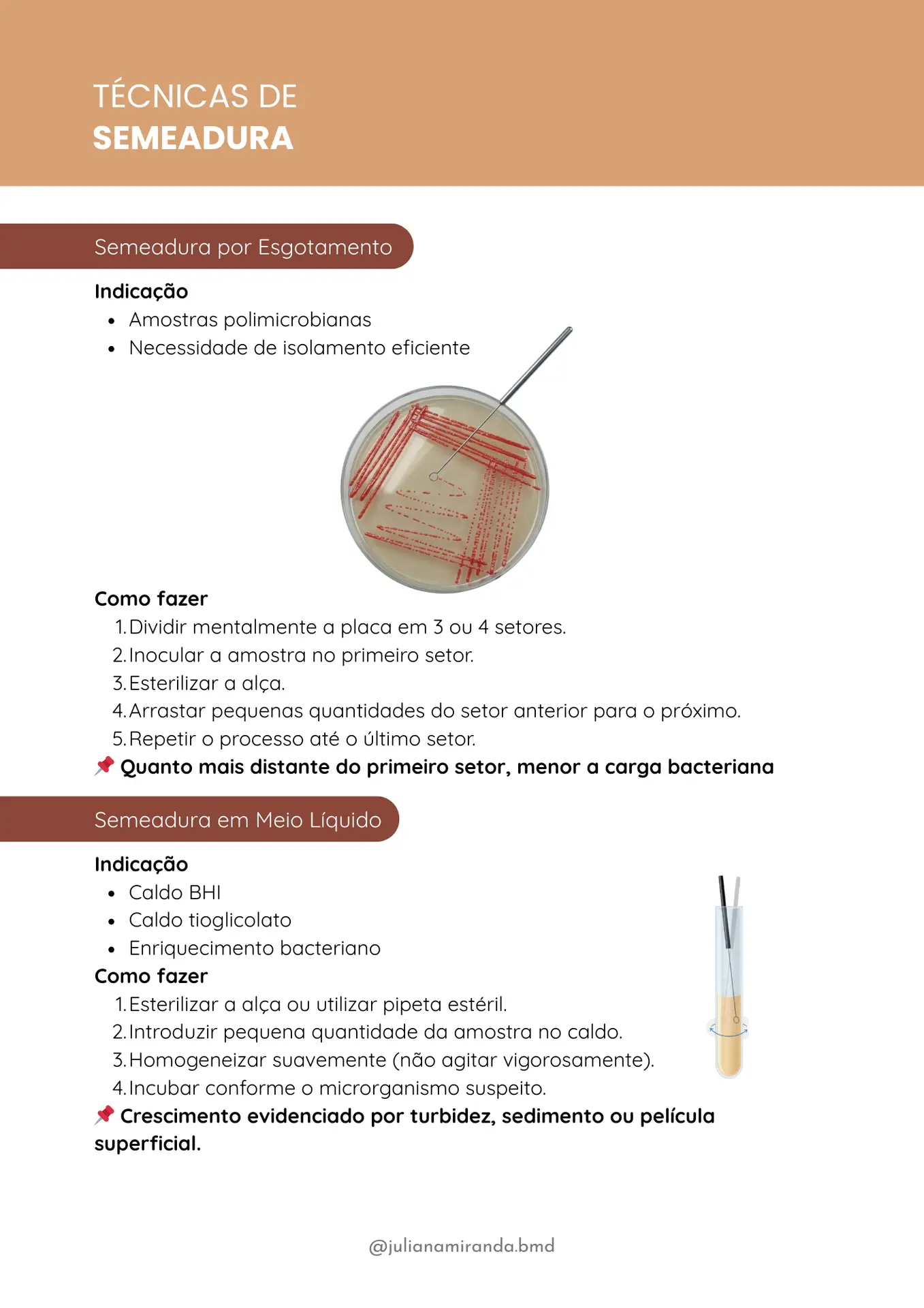 Resumos de Microbiologia