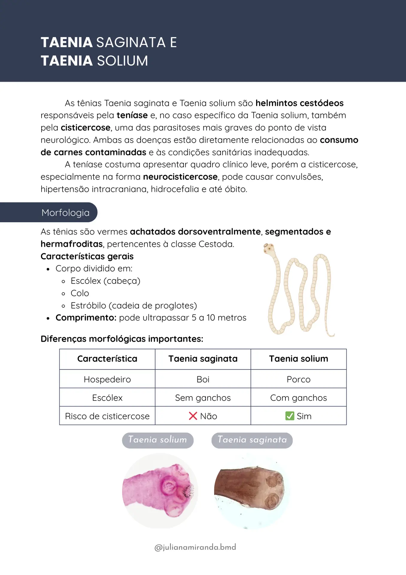 Resumos de Parasitologia