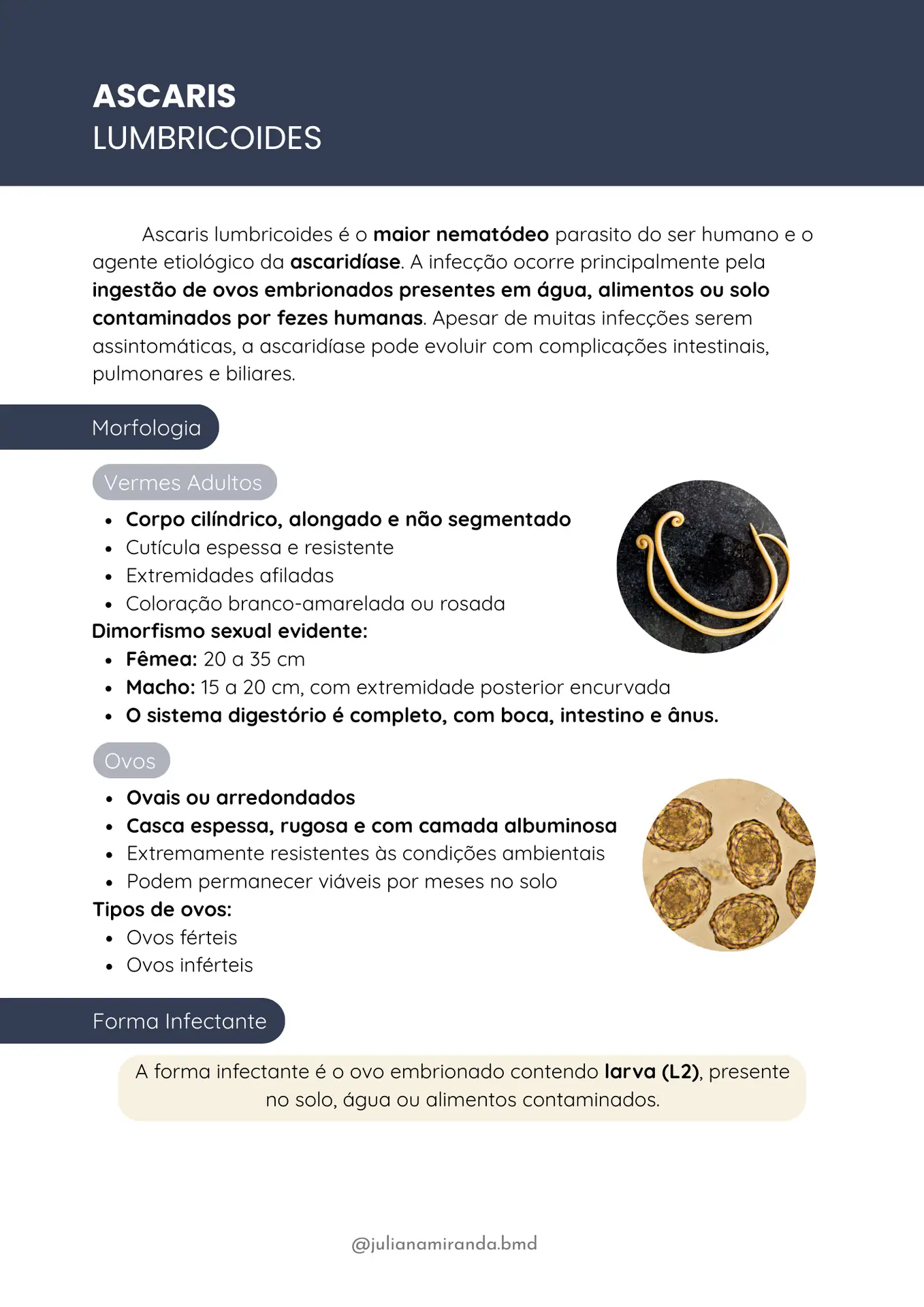 Resumos de Parasitologia