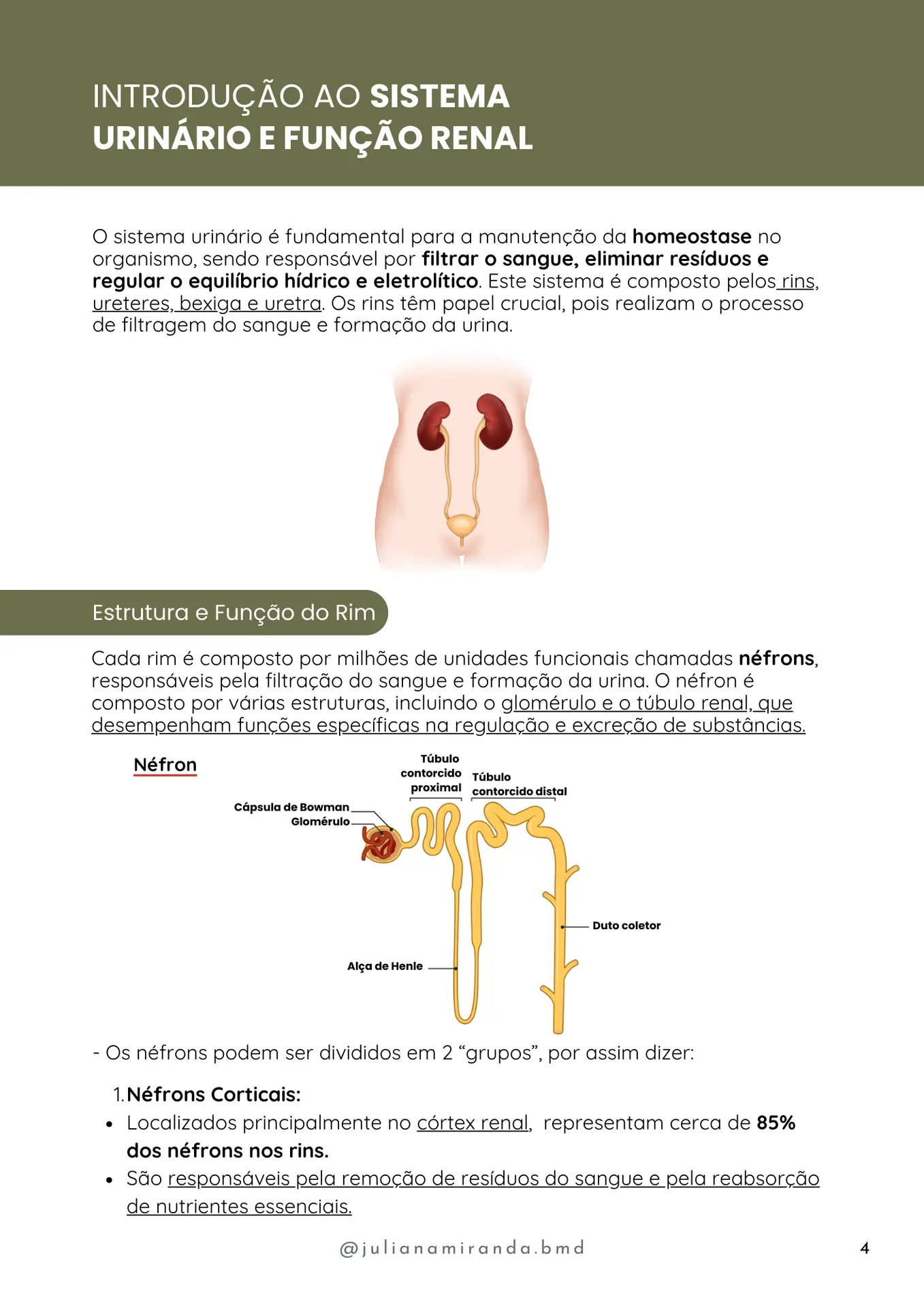 Resumos de Urinálise