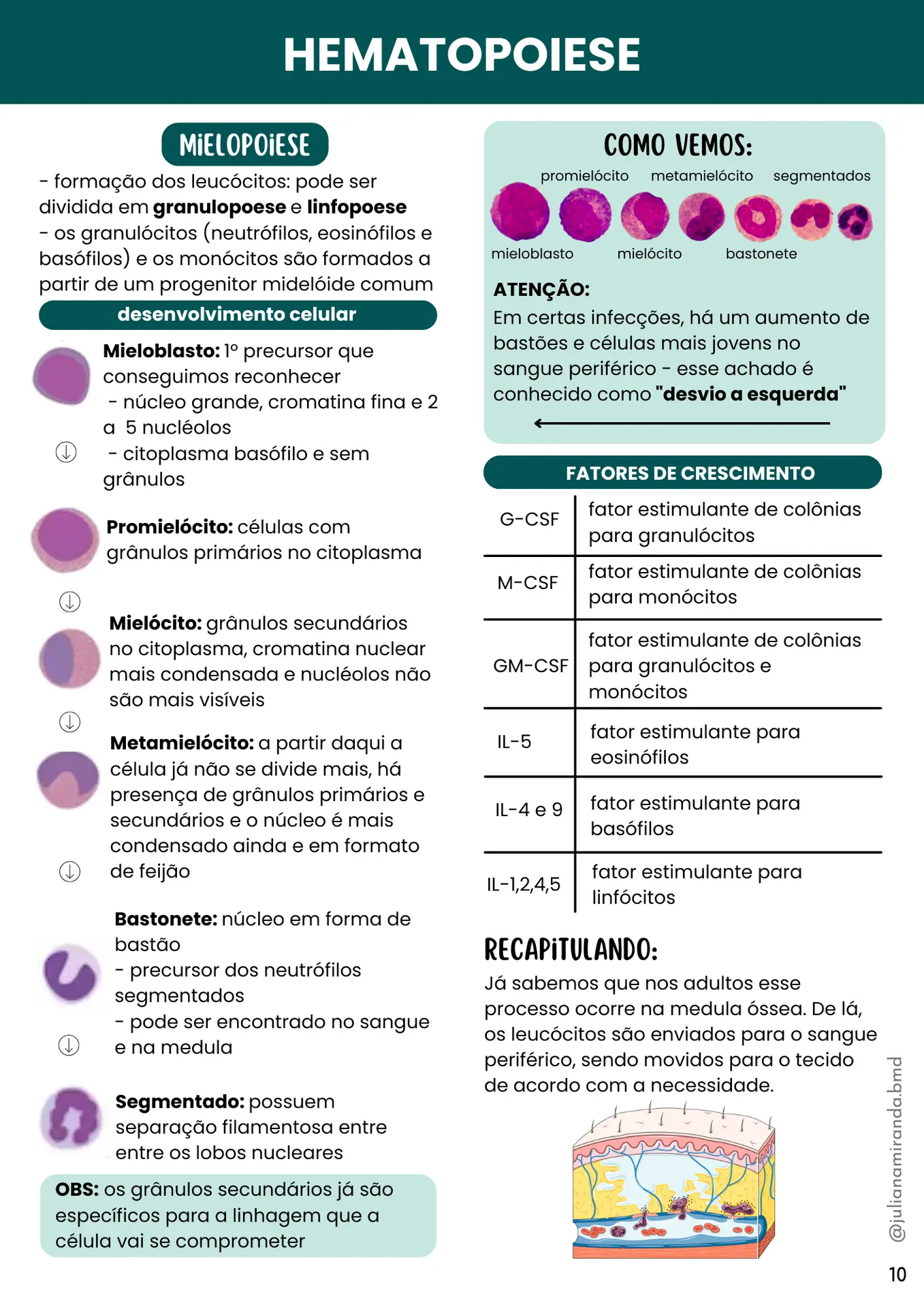 Resumos de Hematologia