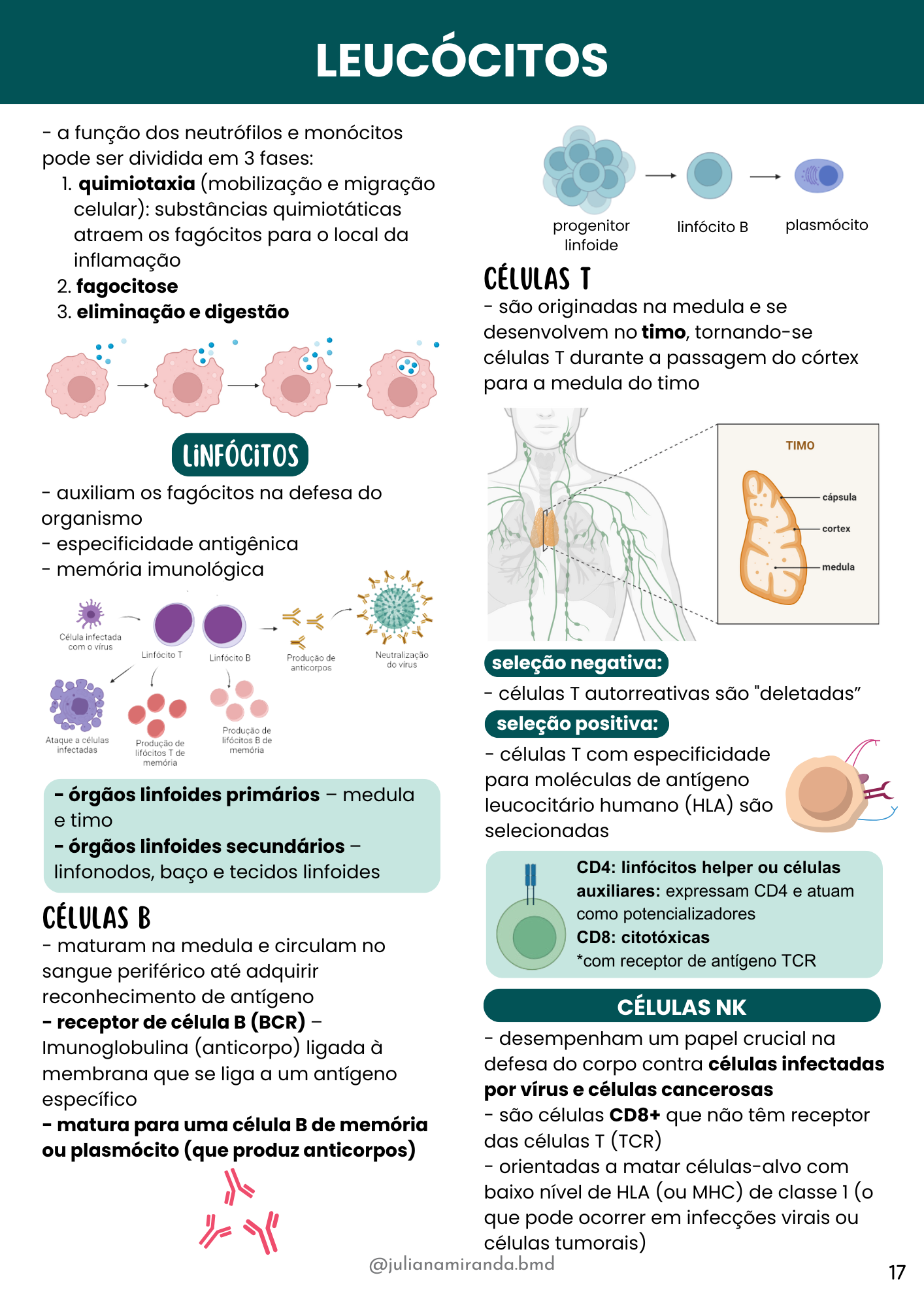 Resumos de Hematologia